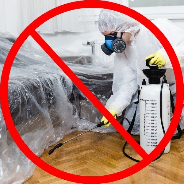 a professional exterminator sprays for bed bugs under a covered mattress