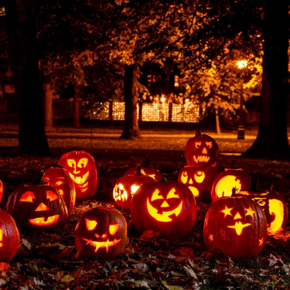 A Halloween Spook-tacular Guide to Bug-Free Trick or Treating