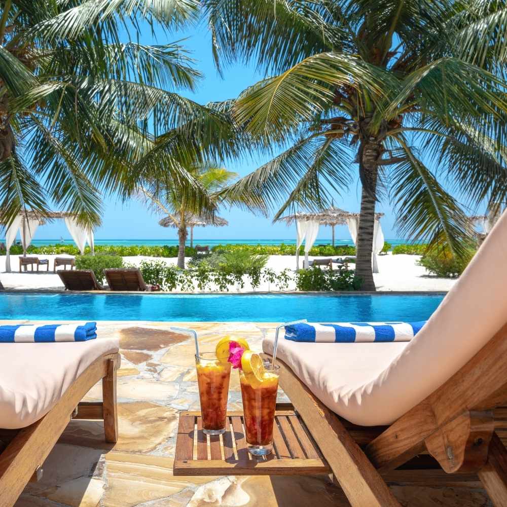 Back from Vacation? Your Bed Bug Contamination Action Plan