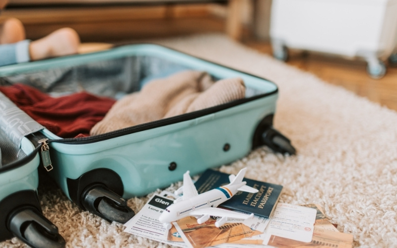 suitcase inspection after travel for bedbugs