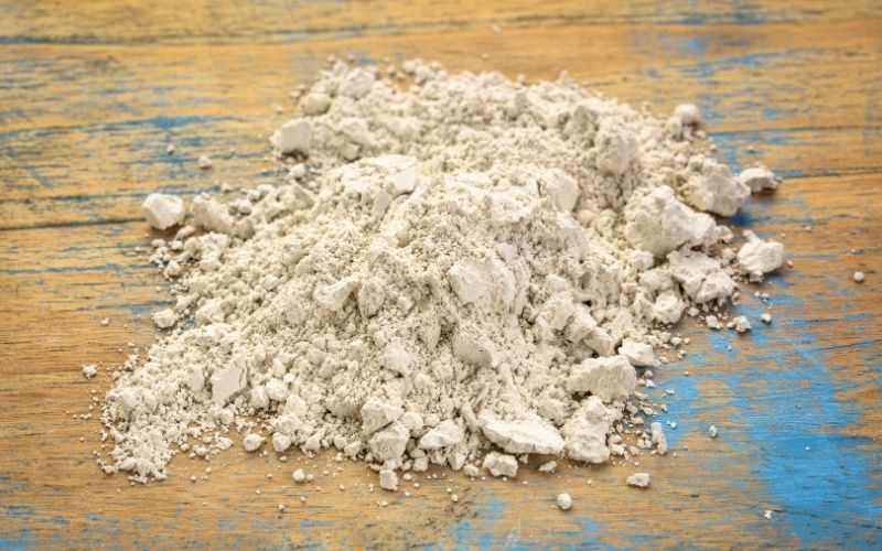 Diatomaceous Earth: the Complete Guide to Uses, Hazards, and Alternatives