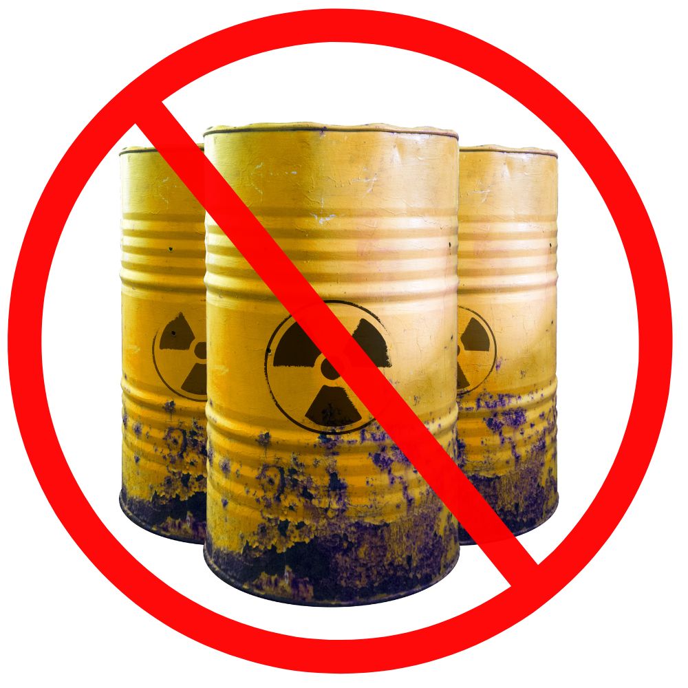 Treating Bed Bugs & Ants Without Harsh Chemicals